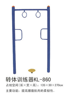 大连健身器材-转体训练器