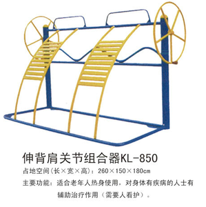 大连健身器材-伸腰背关节组合器