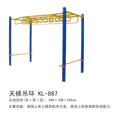 大连健身器材-天梯吊环